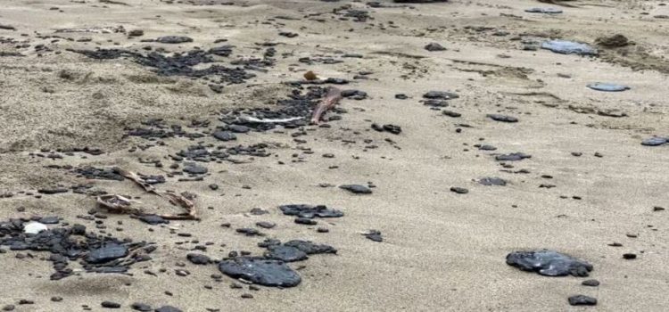 Playas con chapopote en Tabasco y Tamaulipas