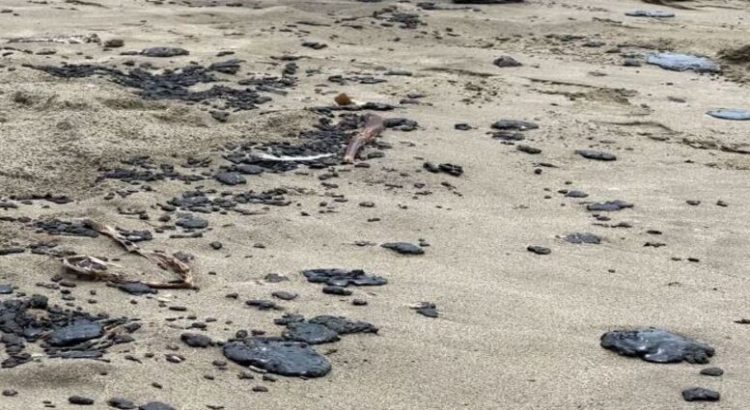 Playas con chapopote en Tabasco y Tamaulipas