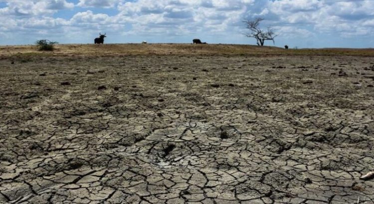 Empieza el año con 26 municipios con sequía en Tamaulipas