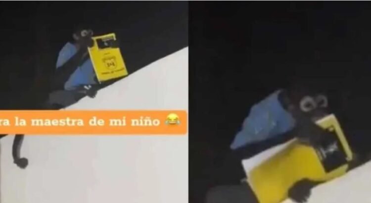¿Le creerá la maestra? en Culiacán un chango le robó la tarea a un niño