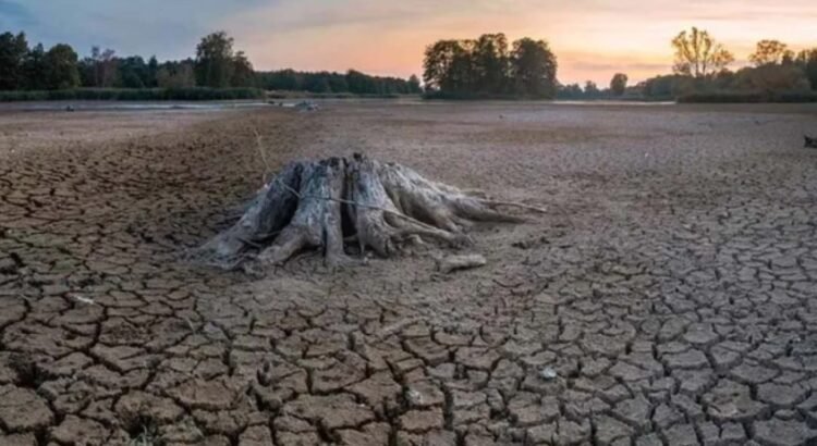 Se extiende la sequía a casi el 80% del país