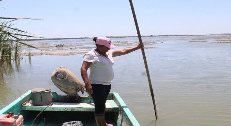 Varias comunidades quedan aisladas en Tamaulipas por los bajos niveles de lagunas