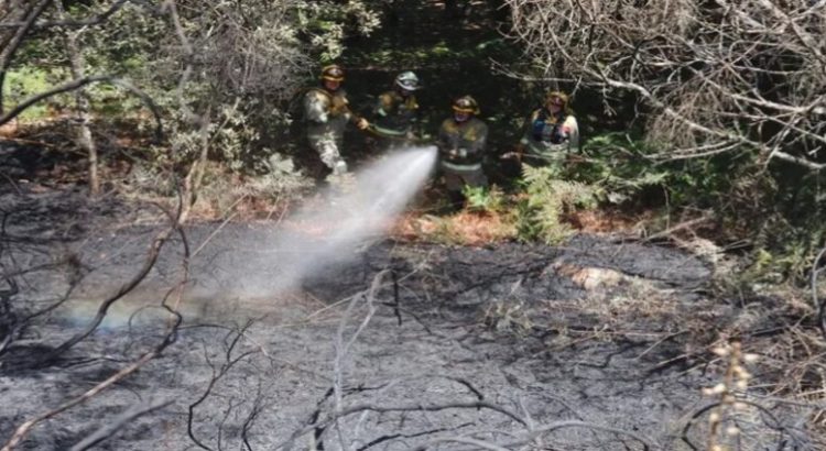 Se controla al 95% el incendio forestal en El Mante, Tamaulipas