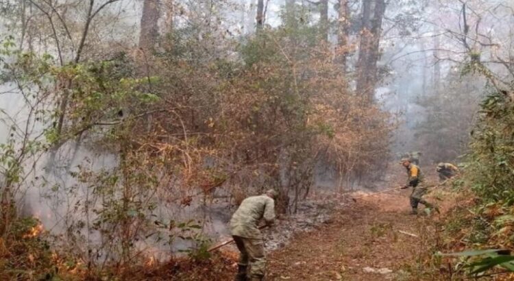 Hay tres incendios forestales activos en Tamaulipas las autoridades ya están atienden los siniestros