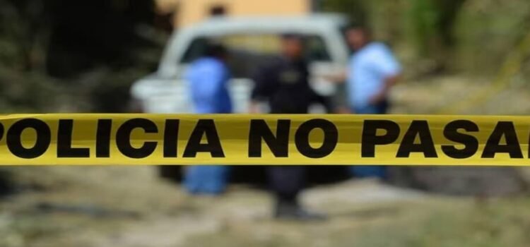 Son encontrados 6 cuerpos sin vida con huellas de tortura en carretera de Tamaulipas