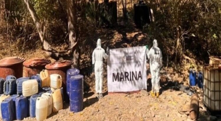 Fuerzas federales desmantelan 7 narcolaboratorios en Sinaloa