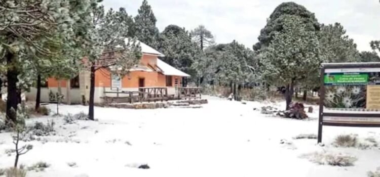 Blanca Navidad: se congelan en 4 estados