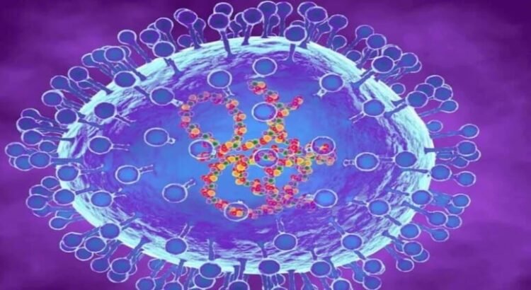 Los síntomas del hMPV; se investiga el posible caso de metapneumovirus humano en el estado de Tamaulipas