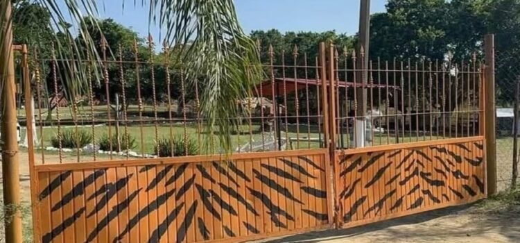 León ataca y le quita la vida a empleado del zoológico en Altamira, Tamaulipas