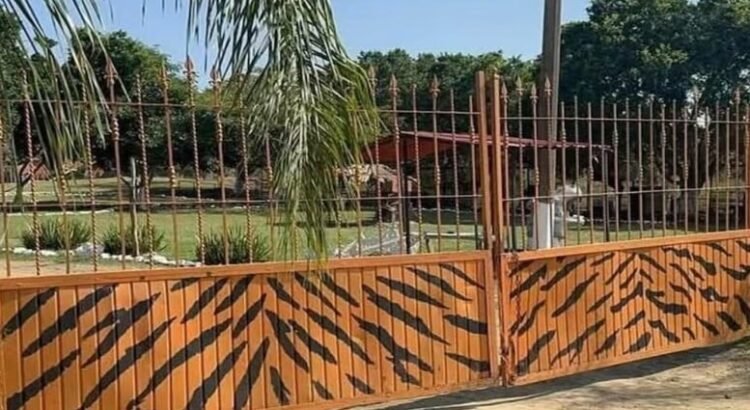 León ataca y le quita la vida a empleado del zoológico en Altamira, Tamaulipas