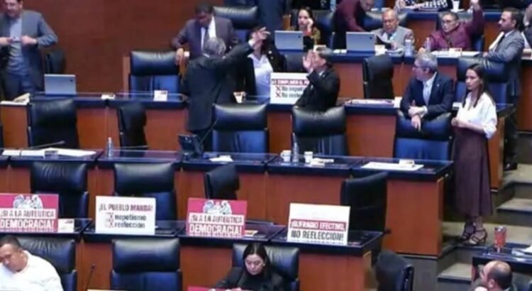 Senado aprueba reforma contra el nepotismo electoral