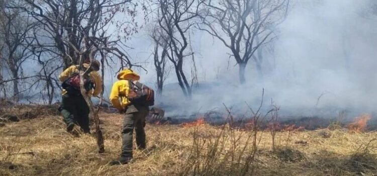 Los pobladores y las autoridades combaten 5 incendios en el estado de Tamaulipas