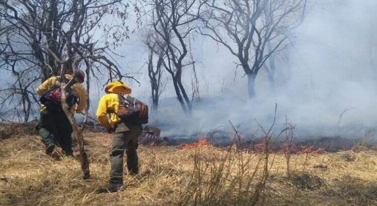Los pobladores y las autoridades combaten 5 incendios en el estado de Tamaulipas