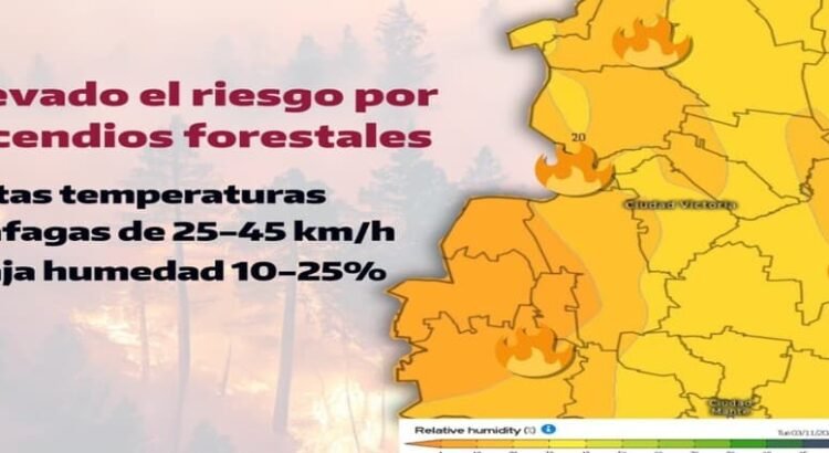 Un segundo incendio forestal en el estado de Tamaulipas