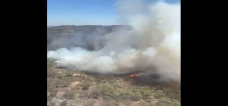 El gobierno del estado de Tamaulipas activa su Plan estatal para combatir los incendios forestales
