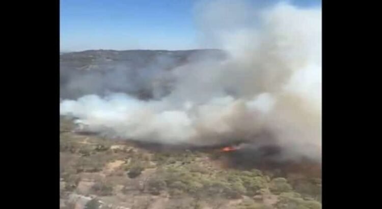 El gobierno del estado de Tamaulipas activa su Plan estatal para combatir los incendios forestales