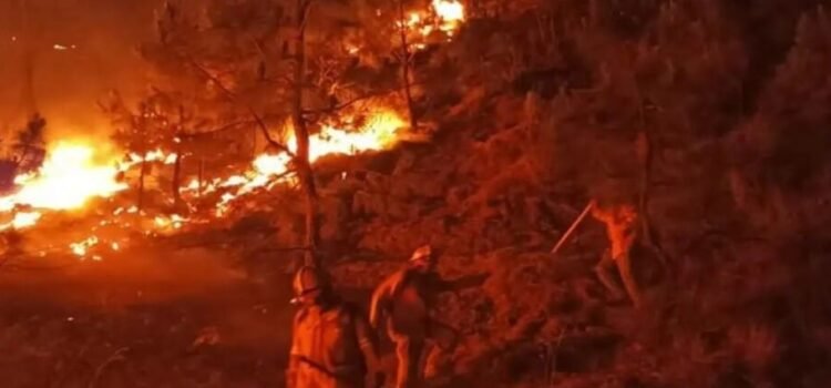 Fuertes incendios en 11 municipios en Tamaulipas