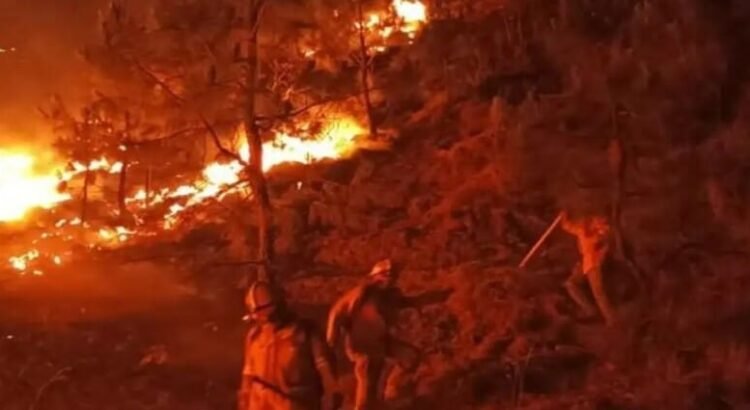 Fuertes incendios en 11 municipios en Tamaulipas