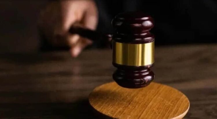 Más de 136 mil personas buscan ser observadores en las elecciones judiciales