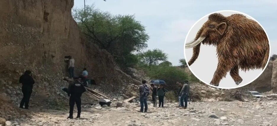 En el estado de Tamaulipas encontraron presuntos restos de Mamut