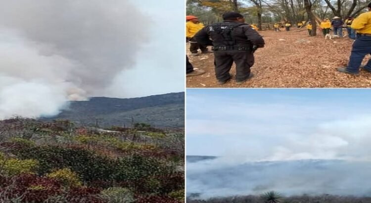 Los vientos y las altas temperaturas complican control de incendio en sierra de Tamaulipas