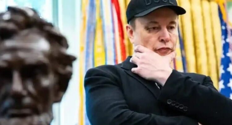 Lanza Musk su propio partido