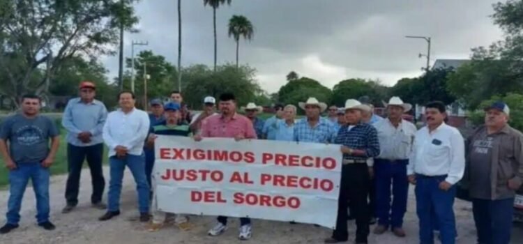 Los productores de sorgo piden pagos compensatorios al gobierno del estado de Tamaulipas