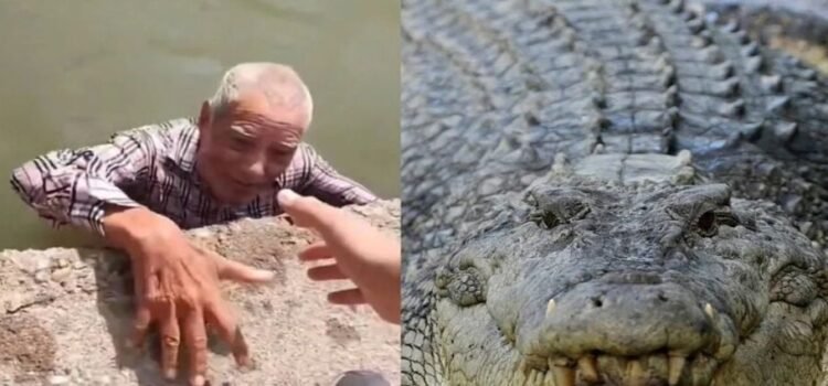 Un adulto mayor desaparecido en San Luis Potosí y lo encuentran en Tamaulipas nadando entre los cocodrilos