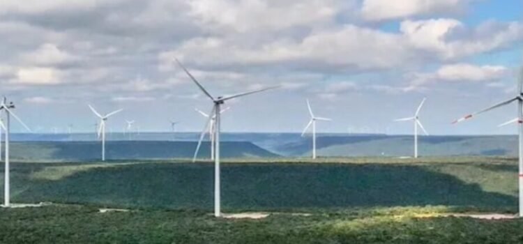 Perfilan al estado de Tamaulipas como líder en energía eólica