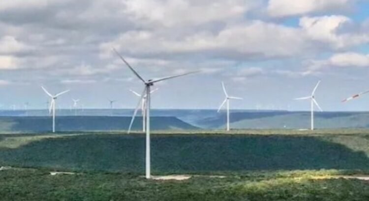 Perfilan al estado de Tamaulipas como líder en energía eólica