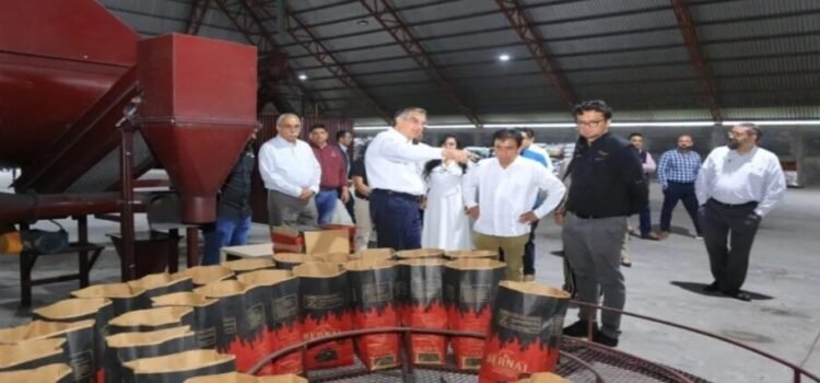 El Gobernador Américo Villarreal supervisa los avances en planta de combustibles limpios en Tamaulipas