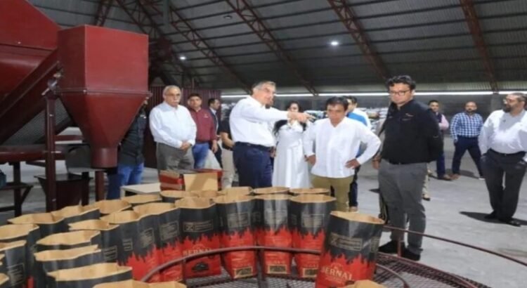 El Gobernador Américo Villarreal supervisa los avances en planta de combustibles limpios en Tamaulipas